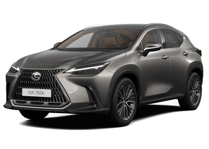 Коврики на Lexus NX II 2021 - 2025 в Ижевске