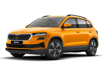 Коврики на Skoda Karoq 2017 - 2025 в Ижевске