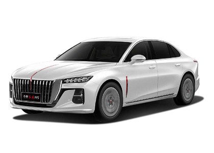 Коврики на Hongqi H5 II 2022 - 2025 в Ижевске
