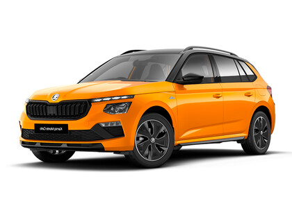 Коврики на Skoda Kamiq (Европа) 2019&nbsp;-&nbsp;2026 в Ижевске
