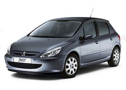 EVA коврики на Peugeot 307 2001 - 2008 в Ижевске