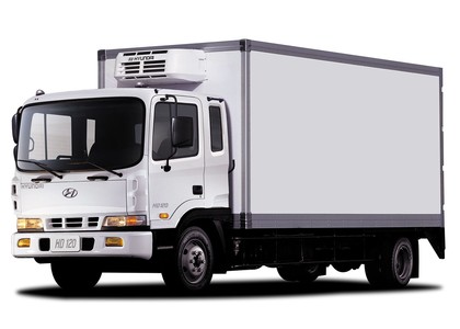 EVA коврики на Hyundai HD120 2004 - 2025 в Ижевске