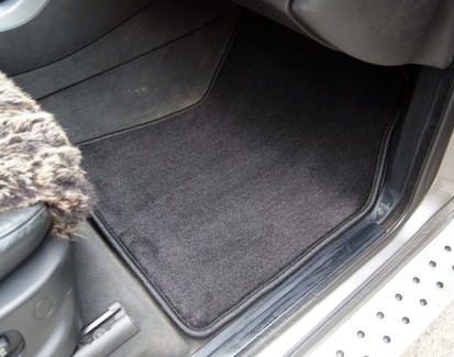 Коврики на BMW X5 (E53) 1999 - 2006 в Ижевске