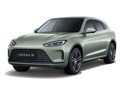 Коврики на Seres M5 2021 - 2025 в Ижевске