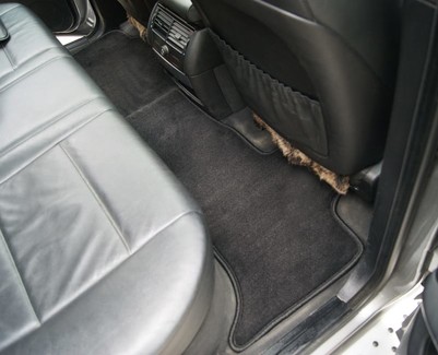 Коврики на BMW X5 (E53) 1999 - 2006 в Ижевске