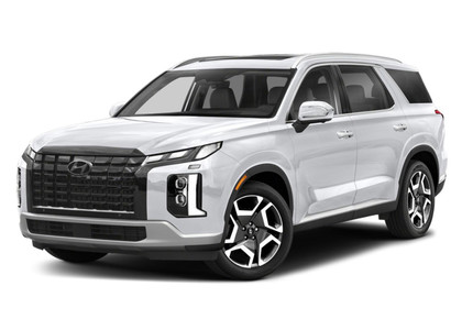Коврики на Hyundai Palisade 2018 - 2025 в Ижевске