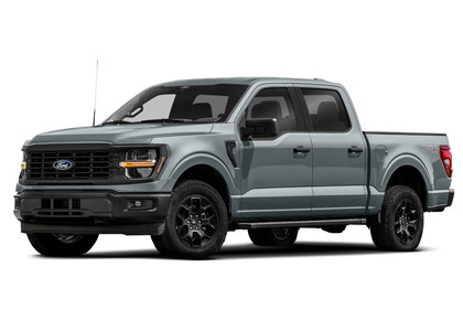 Коврики на Ford F150 2020 - 2025 в Ижевске