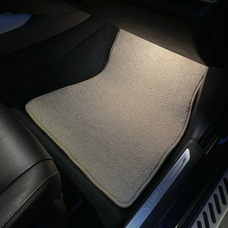 Коврики на BMW X5 (F15) 2013 - 2018 в Ижевске