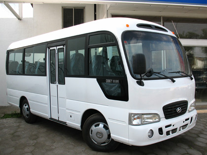 Коврики на Hyundai County 2006 - 2016 в Ижевске