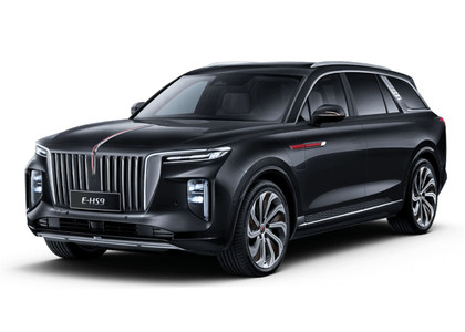 Коврики на Hongqi E-HS9 2022 - 2025 в Ижевске
