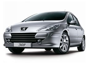 Коврики на Peugeot 307 2001 - 2008 в Ижевске