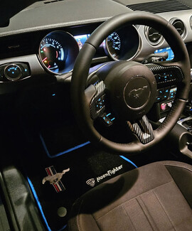 Ворсовые коврики на Ford Mustang VI 2013 - 2023 в Ижевске Ворсовые коврики на Ford Mustang VI 2013 - 2023 в Ижевске