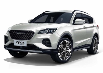 Коврики на Soueast DX8S 2022 - 2025 в Ижевске