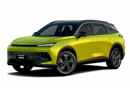 Коврики на Baic X55 2022 - 2025 в Ижевске