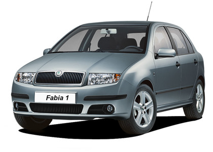Коврики на Skoda Fabia I 1999 - 2008 в Ижевске