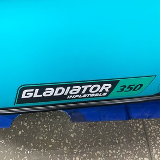 Коврики на Лодки Gladiator E350S  в Ижевске