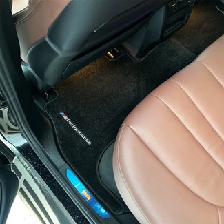 Коврики на BMW X5 (G05/G18) 2018 - 2025 в Ижевске