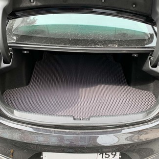 Коврики на Acura TLX II 2020 - 2025 в Ижевске